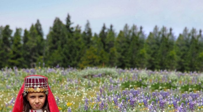 ÇOK OKUL DEĞİŞTİRMENİN HAYATIMA ETKİLERİ