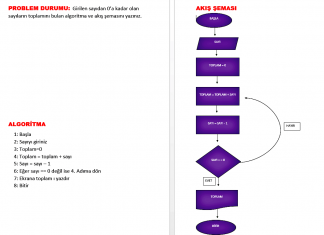 ALGORİTMA NEDİR? AKIŞ ŞEMASI NASIL KULLANILIR?