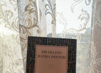 BİR DELİNİN HATIRA DEFTERİ – NİKOLAY GOGOL